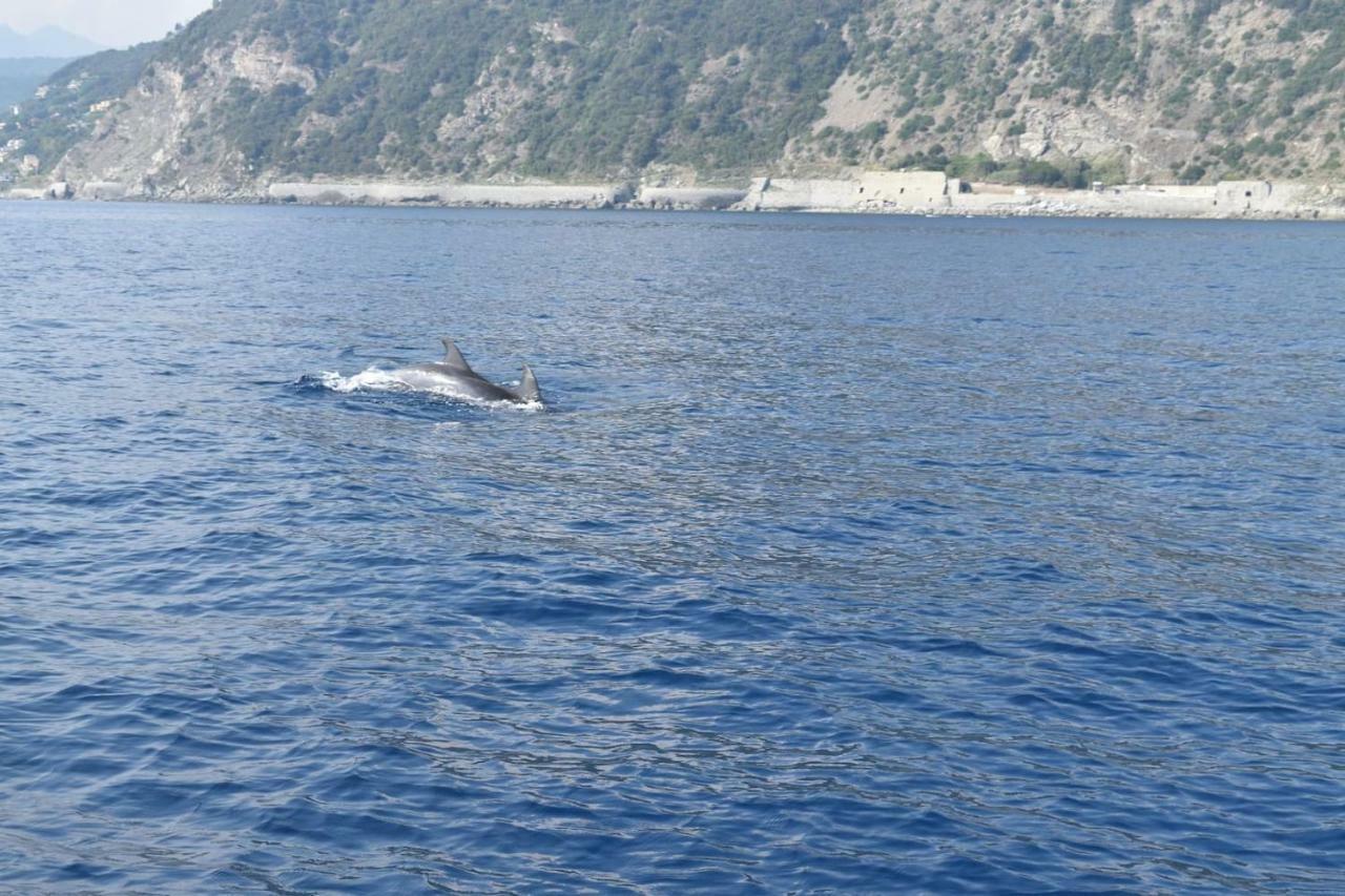 Tavernetta 109 Terrazza Tra Le 5 Terre E Portofino дева Марина Экстерьер фото